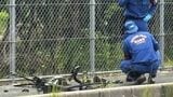 【ロードバイクが大破】軽乗用車と衝突したロードバイクの男性が死亡 過失運転傷害の疑いで会社員の男(21)を現行犯逮捕【岡山】|TBS NEWS DIG