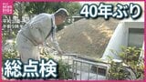 「なるべく遺族の方に届けたい」 原爆供養塔で40年ぶり骨つぼの総点検 DNA型鑑定に必要となる「遺髪」の有無など確認 広島|TBS NEWS DIG
