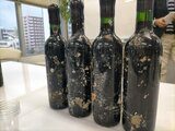 熟成は沖縄の海で!? 特別なブドウを使った希少ワイン 未知数な魅力に迫る|TBS NEWS DIG