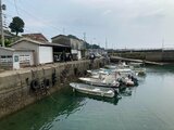 「男性が海に浮いている」86歳男性死亡 長崎 | 長崎のニュース | 天気 | NBC長崎放送