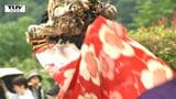 学生が伝統のシシ踊り継承に一役 山形市高瀬地区の「鹿楽招旭踊」を披露|TBS NEWS DIG