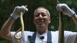「なんぼでも食べられる」ウナギの“ジゴク漁”盛ん 愛媛・宇和島市 | 愛媛のニュース - Nスタえひめ|あいテレビは6チャンネル