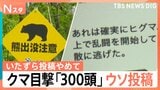 クマ被害相次ぐなか…「クマが線路で乱闘」「300頭目撃した」出没情報にウソ投稿で自治体の業務圧迫も【Nスタ解説】|TBS NEWS DIG