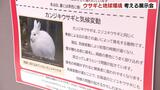 気候変動でウサギも危険にさらされる…来年の干支・ウサギの生態を知る展示会 札幌市円山動物園 | 北海道のニュース|HBC北海道放送