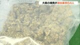 薬物犯罪で106人摘発 大麻事案が過去最多 大分 | 大分のニュース|OBS NEWS|大分放送