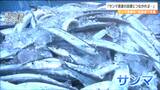 サンマ漁獲枠 去年の25万トンから1割削減 漁業関係者「適正な管理を世界でやって資源回復を」|TBS NEWS DIG