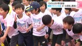 1349人の小学生が参加 ちびっこ健康マラソン大会 ゴール目指し懸命に | 高知のニュース・天気|KUTV NEWS | KUTVテレビ高知