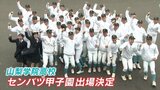 山梨学院　2年連続のセンバツ高校野球大会出場決定　　|　山梨のニュース | ＵＴＹテレビ山梨