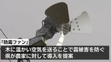 暖冬だけど対策は必要? 県が霜被害から果樹を守るための対策会議を開催 岩手・盛岡市|TBS NEWS DIG