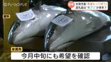ふるさと納税の先行予約を打ち切り　富山湾の冬の味覚「ひみ寒ぶり」不漁が長引き　ブランド外の寒ブリや来季分への振替などの対応を検討　富山・氷見市　|　富山のニュース｜天気・防災｜チューリップテレビ
