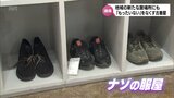 何が集まるか分からない服屋　地域住民を巻き込んだ古着屋さん「NAZO」|TBS NEWS DIG