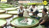 「小さい船みたい」 夏休み大人気イベント オオオニバス 試乗体験会|TBS NEWS DIG