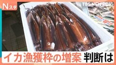 「収入なくなっちゃった」豊漁なのに漁出られず…スルメイカ漁の再開は？ 増枠提案も…漁業者落胆| TBS CROSS DIG with Bloomberg