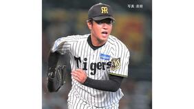 【阪神】ヤクルトに快勝 優勝Ⅿ3 巨人と2差 最短Vは2日！高橋8回無失点 球団で井川以来23年ぶり16勝 大山が先制19号弾 佐藤輝がトドメ38号2ラン 明日 巨人と最終決戦|TBS NEWS DIG