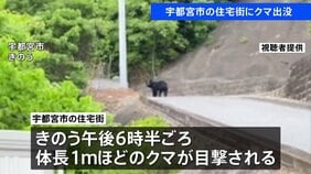 宇都宮市の住宅街でクマ目撃　体長1メートルほど　きょうも警察や猟友会などによる警戒活動|TBS NEWS DIG