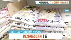 向こう3か月のコメ価格見通し　指数は2か月連続で過去最低水準　コメ価格が値下がりする見方が引き続き強まる|TBS NEWS DIG