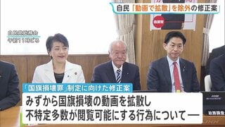 国旗損壊罪の制定めぐり自民が修正案 「動画で拡散」を処罰対象の規定から削除　表現の自由配慮すべきとの声受け| TBS CROSS DIG with Bloomberg