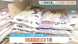 向こう3か月のコメ価格見通し　指数は2か月連続で過去最低水準　コメ価格が値下がりする見方が引き続き強まる| TBS CROSS DIG with Bloomberg