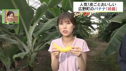 バナナエレファント 有機栽培バナナ（メキシコ産） | 株式会社ファーマインド