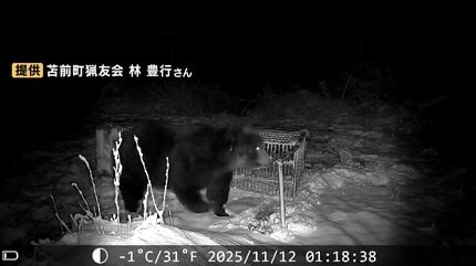 体重約400キロ…こうして巨大ヒグマは捕獲された 約2週間前にも出没