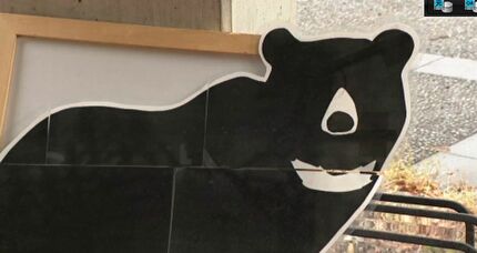 クマ目撃253件 “えさ大凶作”で警戒続く 金沢市が「緊急銃猟」訓練