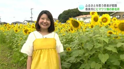 香美市に人を呼びたい」ふるさとを思う若者が奮闘 ヒマワリ畑の新たな
