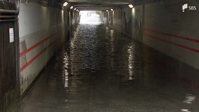 7月17日にかけて大雨が続く見込み 静岡県内の各地で雨脚強まり非常に激しい雨も…道路の冠水や車横転の突風被害|TBS NEWS DIG