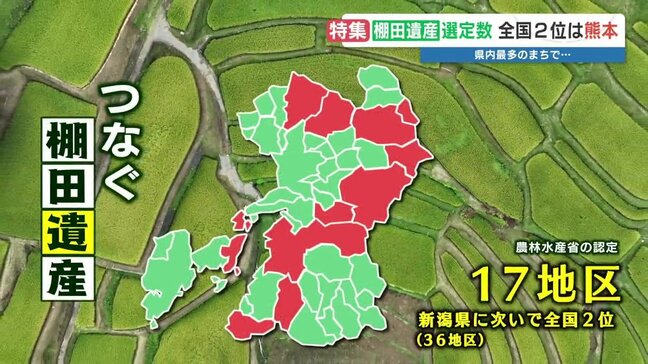 棚田遺産の数“全国2位”の熊本で『棚田でキャンプ』解禁 手土産はコメ!稲刈り後の期間限定イベント|TBS NEWS DIG