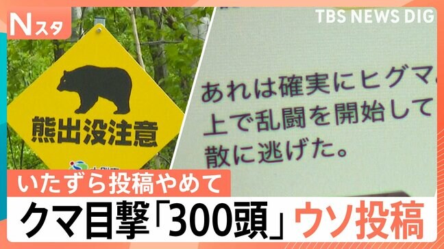 クマ被害相次ぐなか…「クマが線路で乱闘」「300頭目撃した」出没情報にウソ投稿で自治体の業務圧迫も【Nスタ解説】|TBS NEWS DIG
