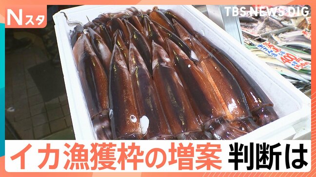 「収入なくなっちゃった」豊漁なのに漁出られず…スルメイカ漁の再開は? 増枠提案も…漁業者落胆|TBS NEWS DIG