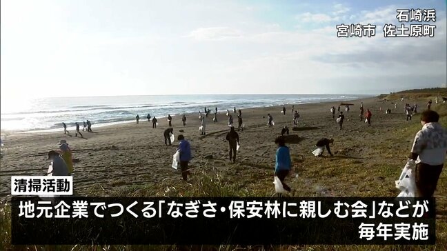 アカウミガメの産卵地として知られる石崎浜でビーチクリーン活動|TBS NEWS DIG