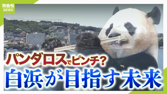 【白浜どうなる?】パンダ返還から4か月...「宿泊税」導入に向け始動 観光振興のカギと目指すべき未来「若い世代とファミリー層をターゲットに」「目指せ日本のワイキキ」|TBS NEWS DIG