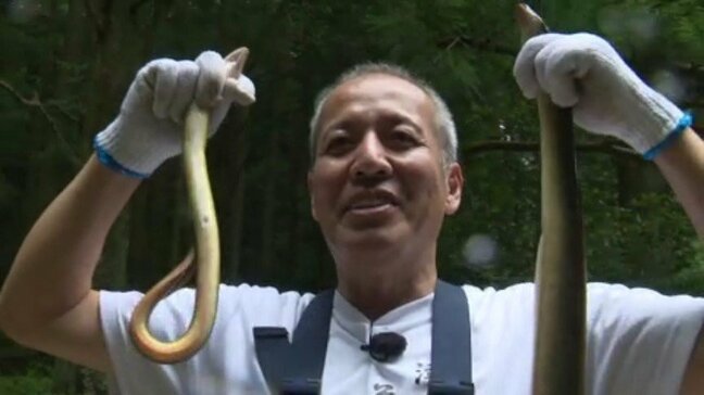 「なんぼでも食べられる」ウナギの“ジゴク漁”盛ん 愛媛・宇和島市|TBS NEWS DIG