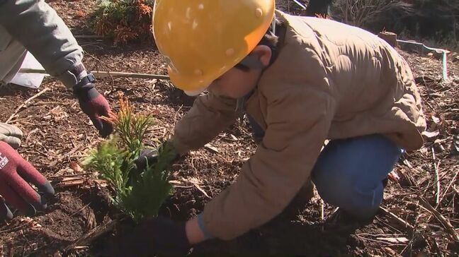 小学生が植樹と保護活動　森の役割と大切さを学ぶ　大分|TBS NEWS DIG