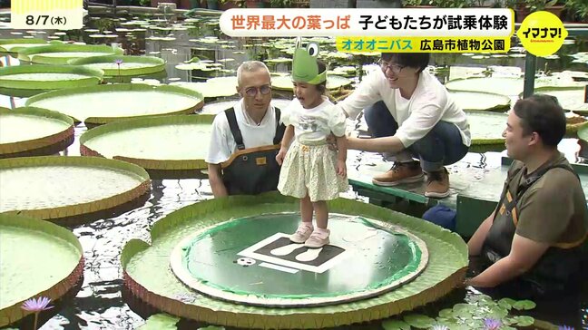 「小さい船みたい」 夏休み大人気イベント オオオニバス 試乗体験会|TBS NEWS DIG
