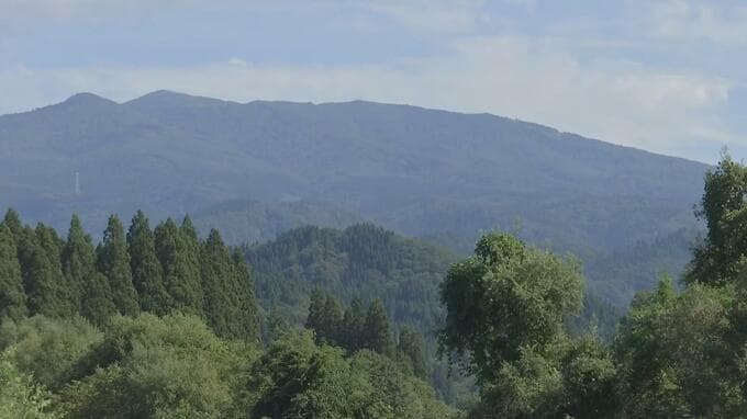 秋田の山中で男性がクマに襲われけが　腕をかまれ顔をひっかかれる　施設に助けを求めてドクターヘリで搬送　秋田県北秋田市　森吉山|TBS NEWS DIG