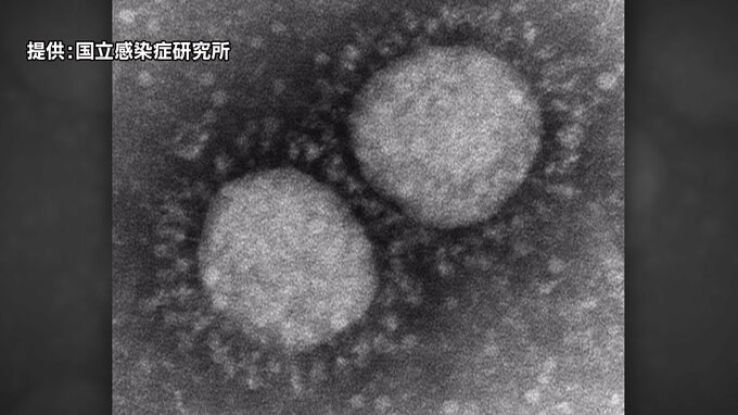 【新型コロナ感染者数：２月２７日】福岡県は１１４人、佐賀県は３１人陽性　|　福岡のニュース｜RKB NEWS｜RKB毎日放送