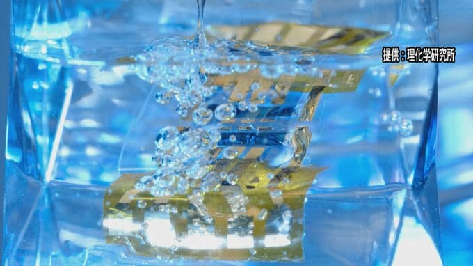 水につけても壊れない超薄型太陽電池を開発　理化学研究所|TBS NEWS DIG