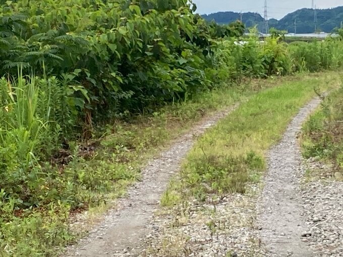 70歳くらいの女性の遺体　富山市の空き地で発見　紺のTシャツに黒ズボン、警察が身元特定進める　|　富山のニュース｜天気・防災｜チューリップテレビ