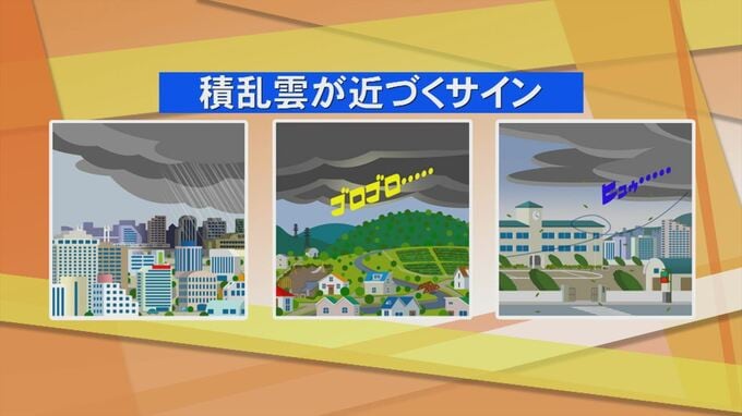 雷に打たれ男性死亡　夏場に多い雷…その予兆と対応を気象台予報官に聞く|TBS NEWS DIG