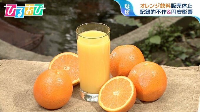 オレンジジュースが“高級品”に！？販売休止相次ぐ　国産みかんに注目も【ひるおび】|TBS NEWS DIG