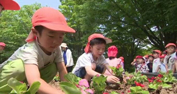 各地で25度超える夏日 保育園児が花植え体験 金沢市　|　石川県のニュース｜MRO北陸放送