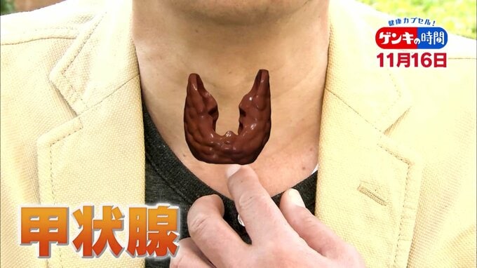 「甲状腺」の病気…放置で死に繋がることも！見逃しやすい「甲状腺疾患」早期発見のポイントと治療法　|　名古屋・愛知・岐阜・三重のニュース【CBC news】 | CBC web