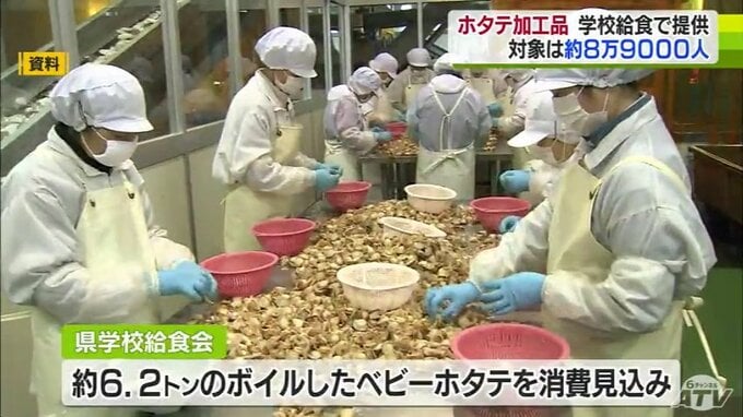 中国の禁輸措置が続く青森県産ホタテ　加工品が学校給食として提供へ　37市町村の小・中学校と特別支援学校で計8万9000人が対象|TBS NEWS DIG