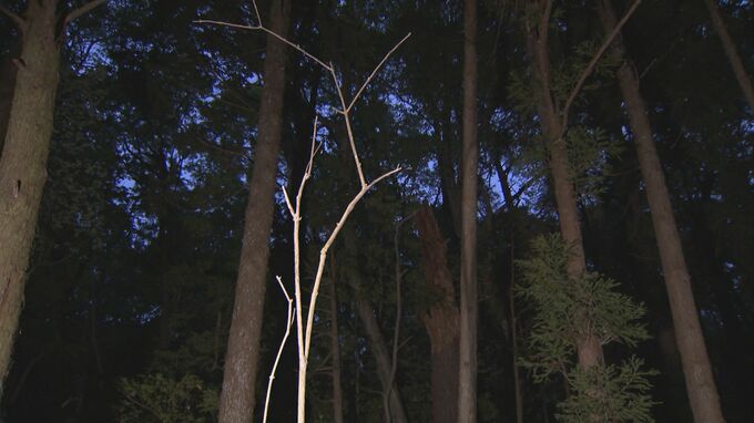 山菜取りをしていた付近住民が人のものとみられる骨を発見　歯を含む顔と腕の一部か　富山市　|　富山のニュース｜天気・防災｜チューリップテレビ