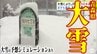 【雪国の大雪】「もう、きょう以上は降らないでほしい…」今季“最強・最長”大寒波で青森市では丸一日で40cm以上の雪　バス停は雪に埋もれトラックは立ち往生　鉄道・バスなど交通機関にも影響　|　青森のニュース│ATV NEWS│青森テレビ