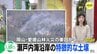 山林火災の背景に瀬戸内海沿岸の「真砂土」土壌　森林大きく育たず地面に太陽エネルギー　枯れ葉の乾燥で火災リスク高まる　専門家が指摘　|　RCC NEWS | 広島ニュース | RCC中国放送