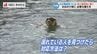水の事故から命を守るには？「離岸流に巻き込まれたら」「おぼれた人を見つけたら」海上保安部に聞く正しい対応　|　長崎のニュース | 天気 | NBC長崎放送