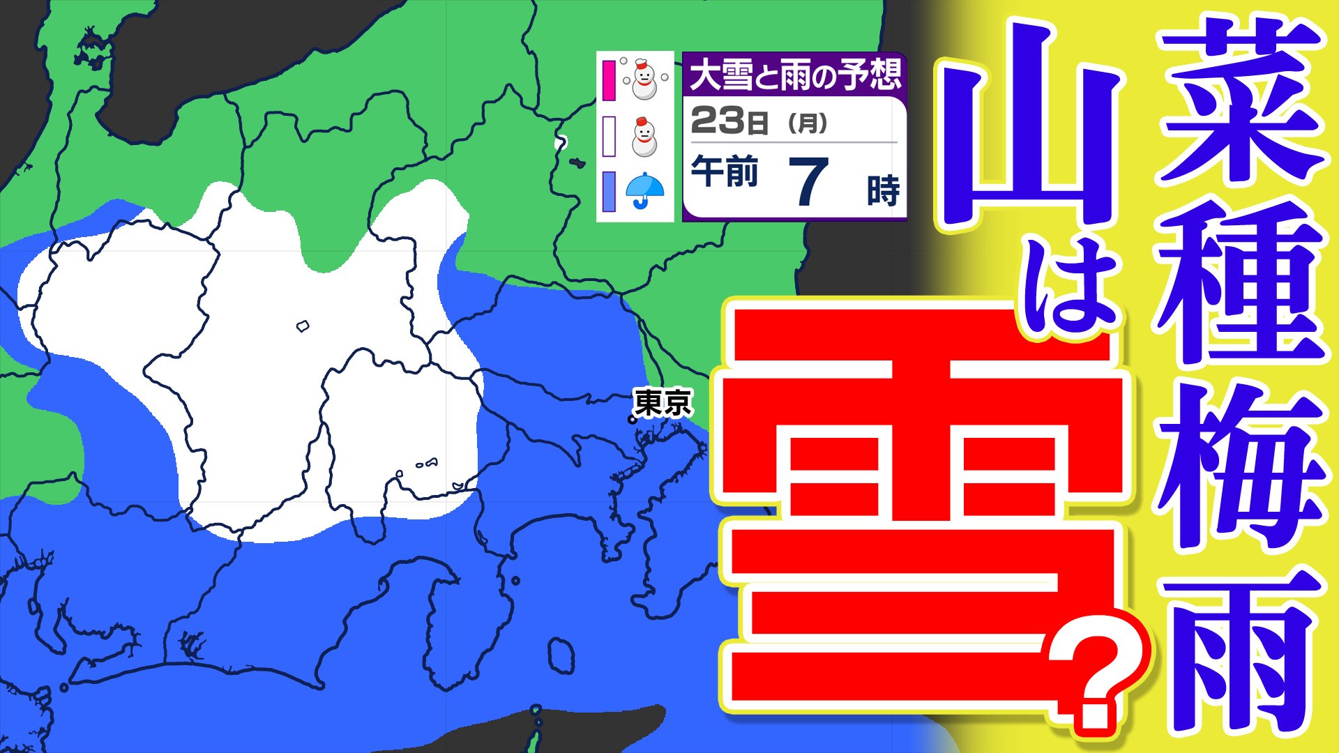 東京首都圏 菜種梅雨】雨の日多い が 今週末には「さくら満開か」【雨