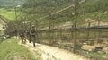 国連軍「停戦協定違反」と認定 韓国側DMZで“北朝鮮の対人地雷”発見 兵士3人負傷の爆発事故で合同調査| TBS CROSS DIG with Bloomberg